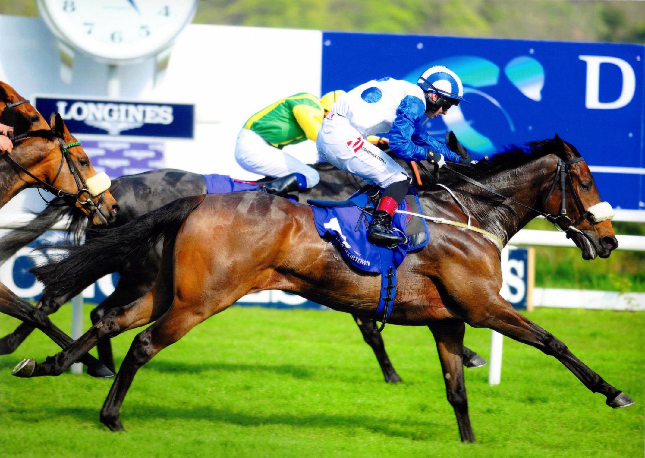 INTISARI adds a third win to his tally at Leopardstown 08 May 2016
